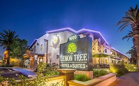 The Lemon Tree 3*