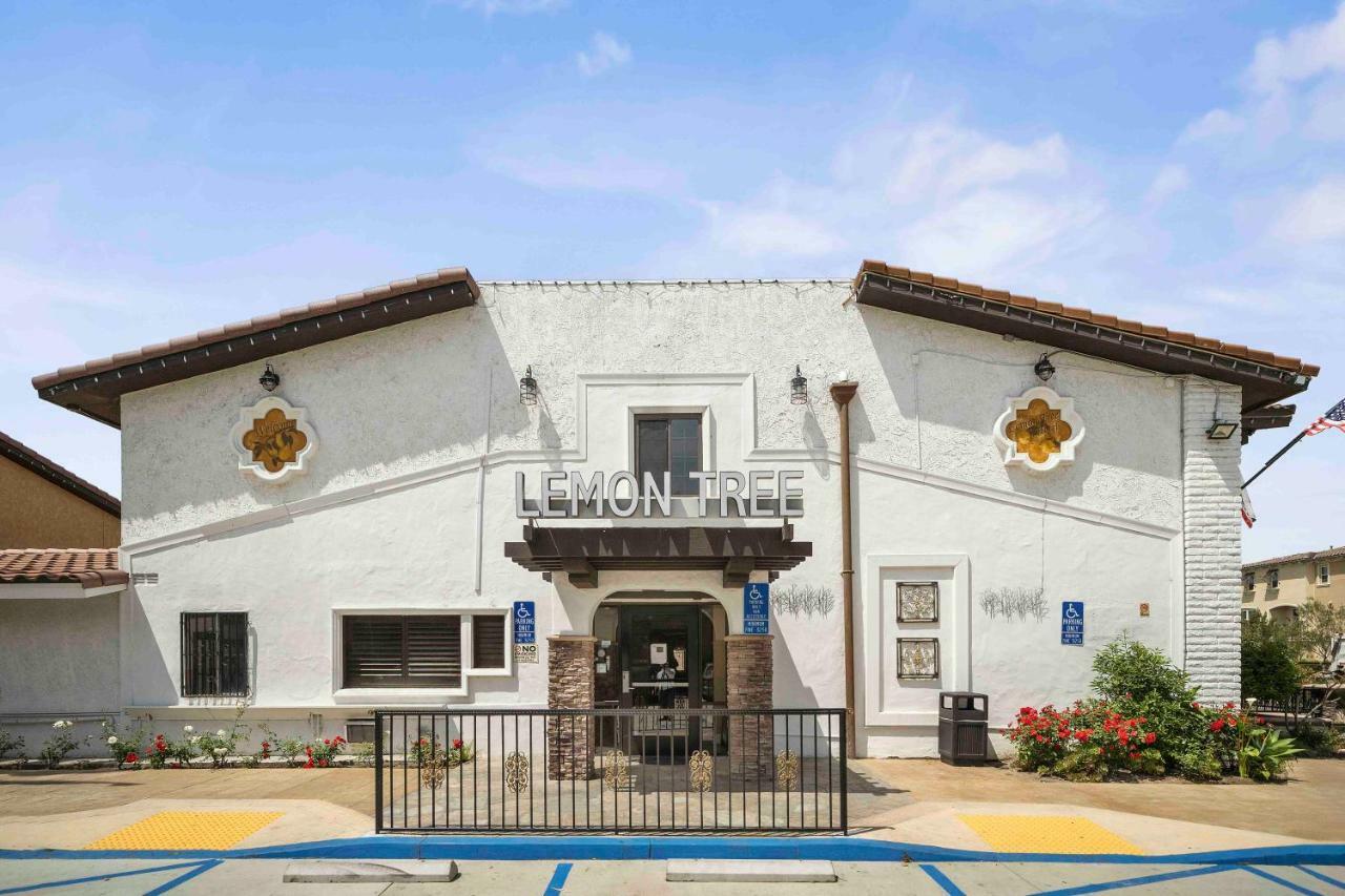 The Lemon Tree Hotel Anaheim Buitenkant foto